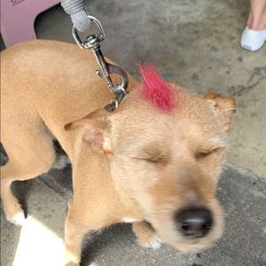 Meet your Posher, Avery